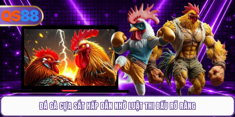 Đá gà cựa sắt hấp dẫn nhờ luật thi đấu rõ ràng