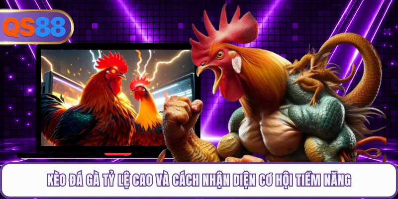 Kèo Đá Gà Tỷ Lệ Cao Và Cách Nhận Diện Cơ Hội Tiềm Năng