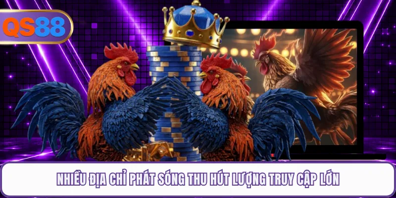 Nhiều địa chỉ phát sóng thu hút lượng truy cập lớn