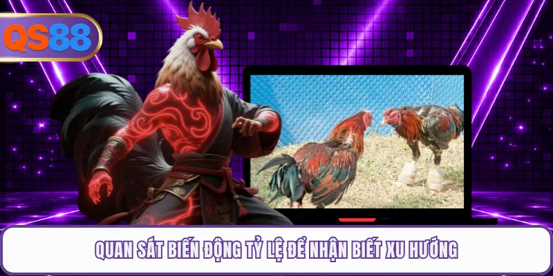 Quan sát biến động tỷ lệ để nhận biết xu hướng